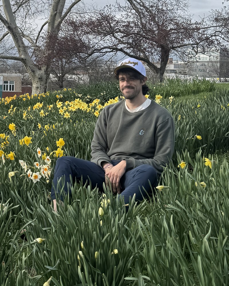 profile_daffodils.jpg